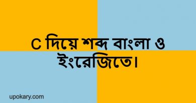 C diye bangla word