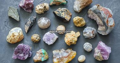 Metal and Mineral