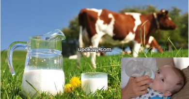 cowmilk