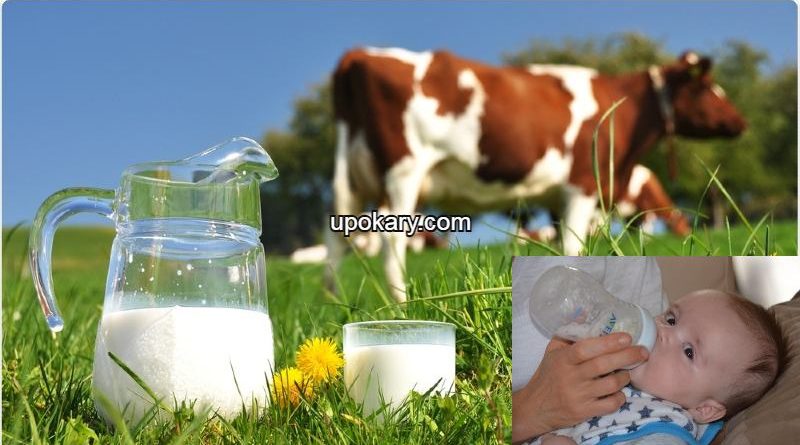 cowmilk