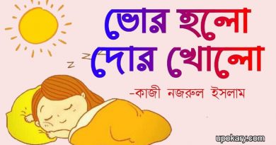 morning
