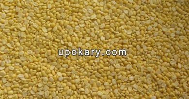 mung dal
