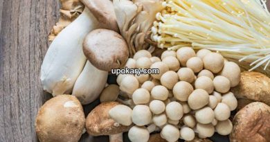 mushrooms