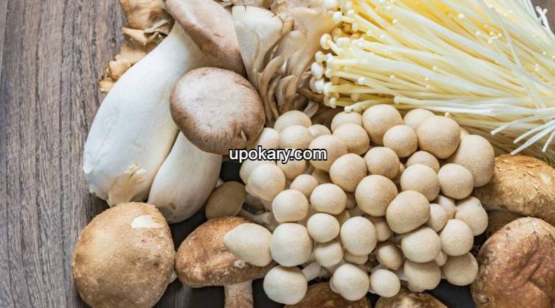 mushrooms