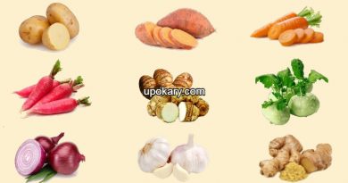 undergroundvege