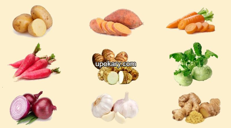undergroundvege