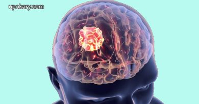 Brain Tumor
