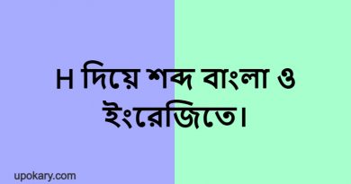 H language