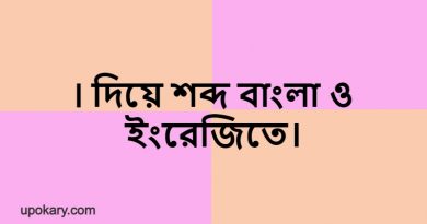 I language