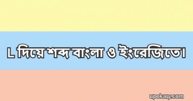 L language