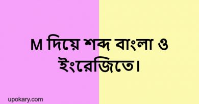 M language