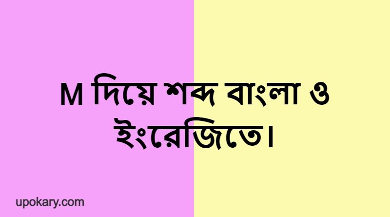 M language