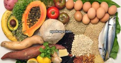 Makanan