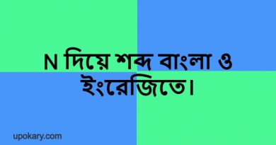 N language