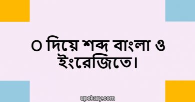 O language