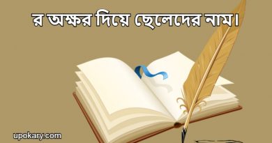 R language