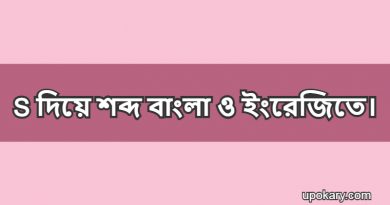 S language