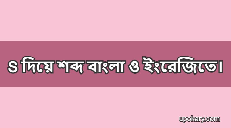 S language