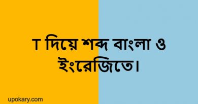 T language