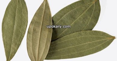 Tejpata for hair