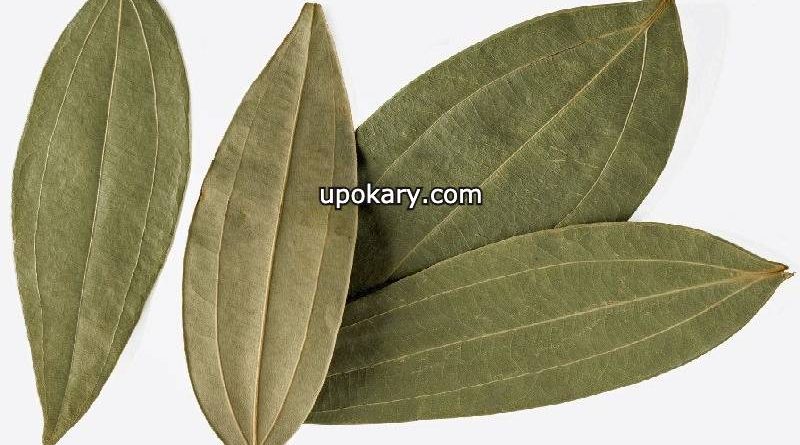 Tejpata for hair