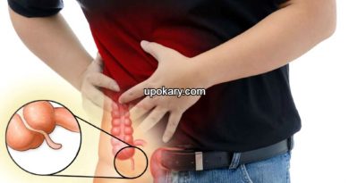 appendix