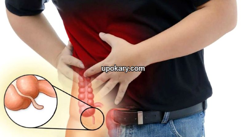 appendix