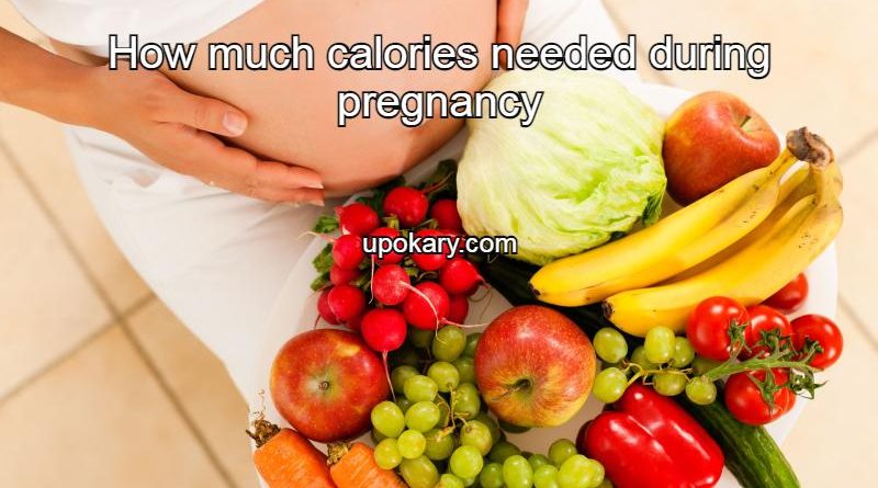 calories