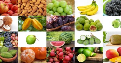 fruit