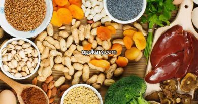 iron foods