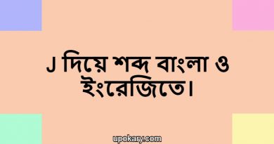 j language