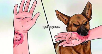 jolatonko