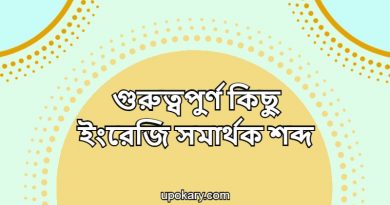 language