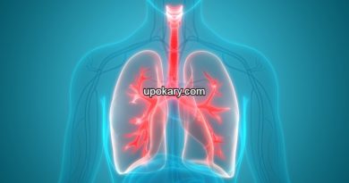 lungs scaled