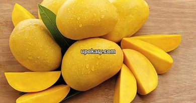mango