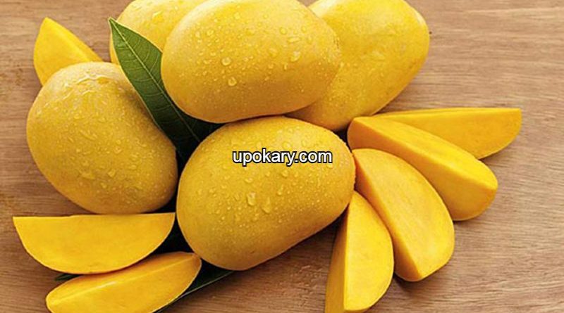 mango