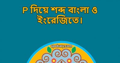 p language