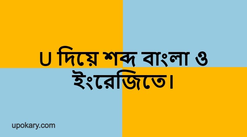 u language