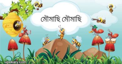Bee_Bee