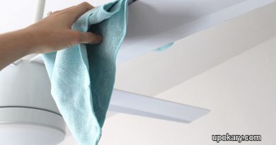 Fan Horizontal