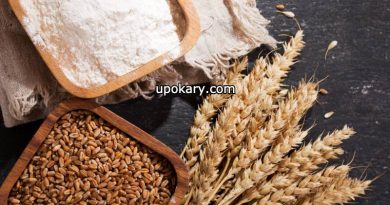 Wheat