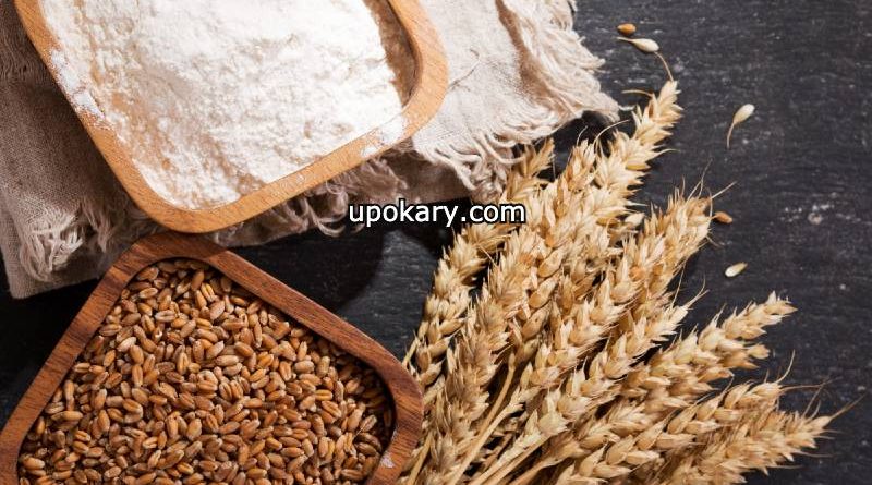 Wheat