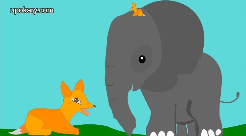 elephant