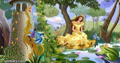 Fairy