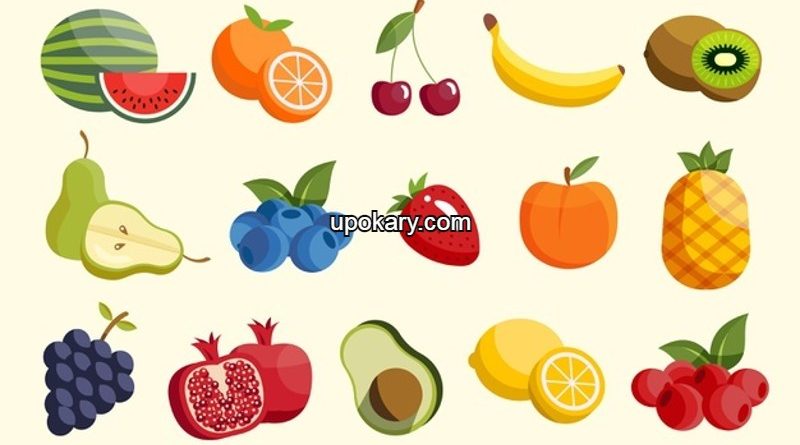 Fruit
