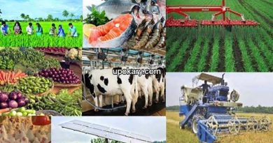 agri inne