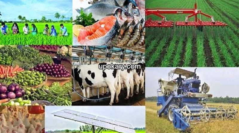 agri inne