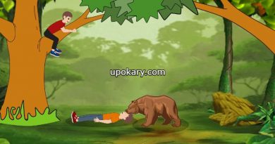 bear