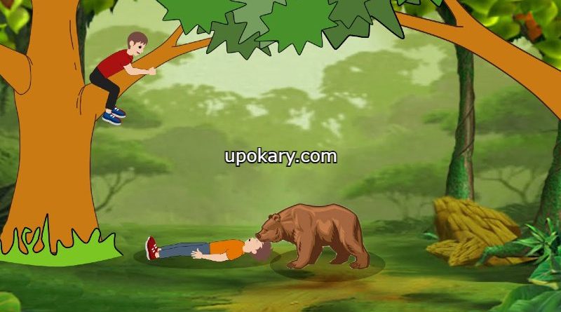 bear