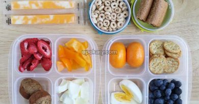 traveling-foods